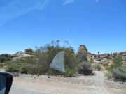 Joshua Tree & Hidden Valley (14).JPG